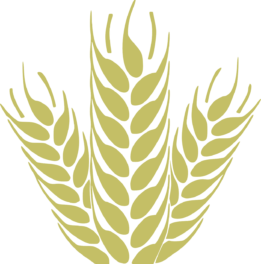 corn, grain, spica-161629.jpg