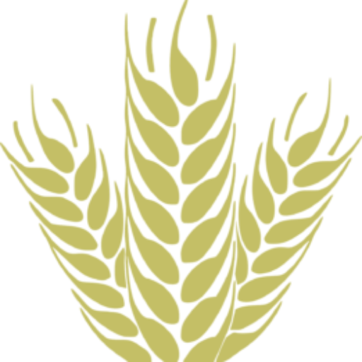 corn, grain, spica-161629.jpg